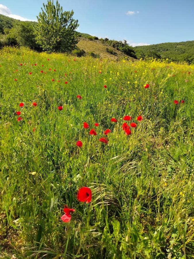 فندق La Grange De Sabatas Chomérac المظهر الخارجي الصورة